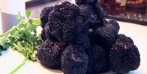 Gourmet truffles on a plate